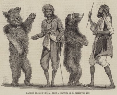 Dansende beren in India door William Carpenter